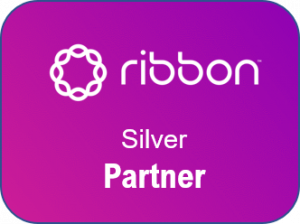 Silver Ribbon Community Partners - Non-Profit Organization